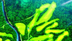 Birdie Wing: Golf Girls' Story Season 2